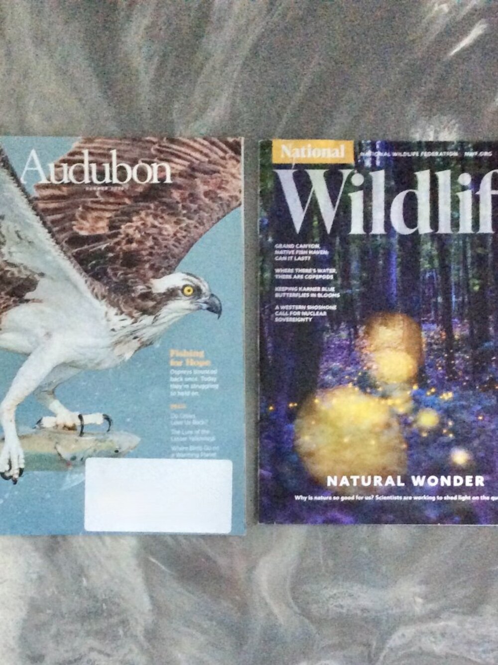 Lot of 2 Nature Magazines: ‘Audubon’ Summer 2026 + ‘National Wildlife Federation